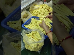 Customized Silicone Rubber O Rings for Extreme Temperatures (-30.C~230.C)